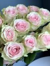 Розы  - любое количество. Цветы Владивосток фото 2 — Цветочный король