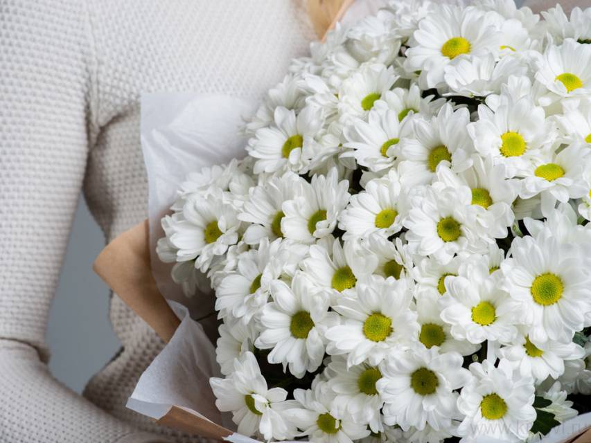 Белоснежные ноты