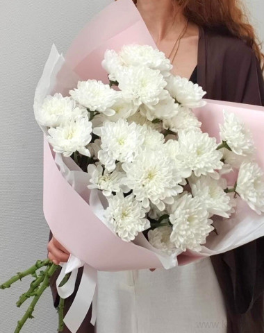 Букет кустовых хризантем Алтай (5 шт) &mdash; Цветочный король