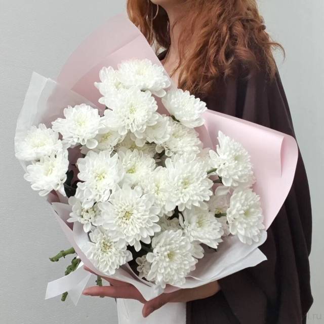 Букет кустовых хризантем Алтай (5 шт)