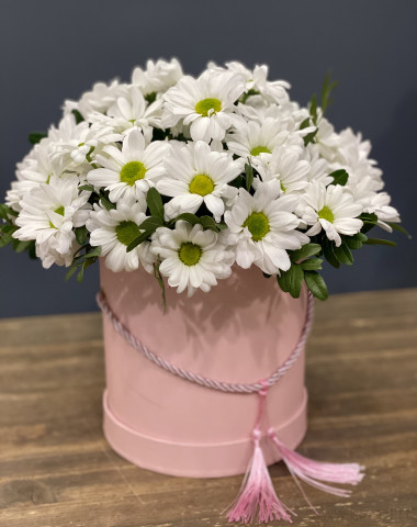 Коробочка хризантем  &mdash; Цветочный король