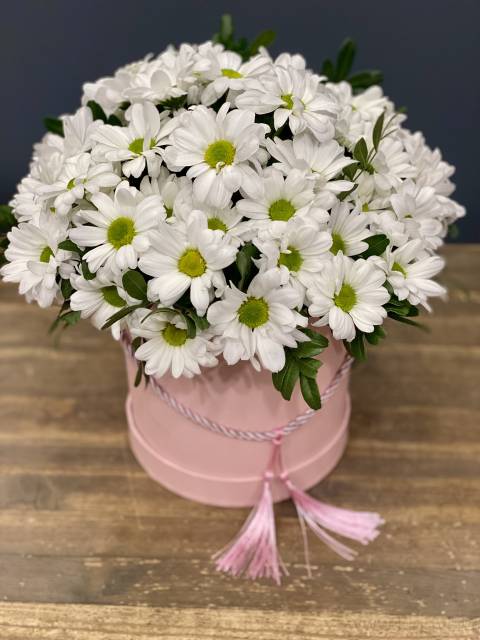 Коробочка хризантем 