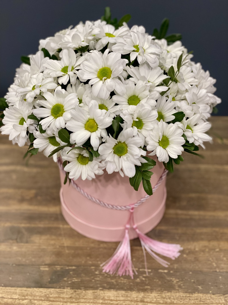 Коробочка хризантем . Цветы Владивосток