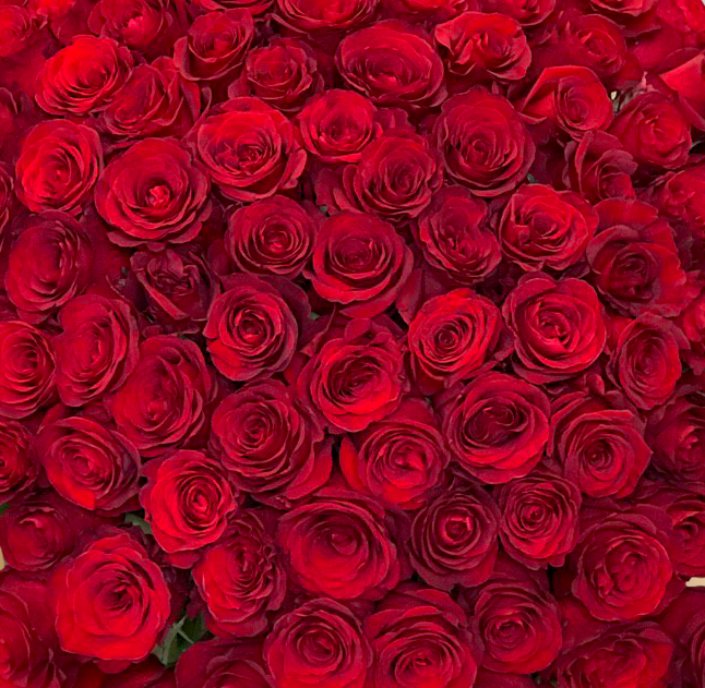 101 красная  роза