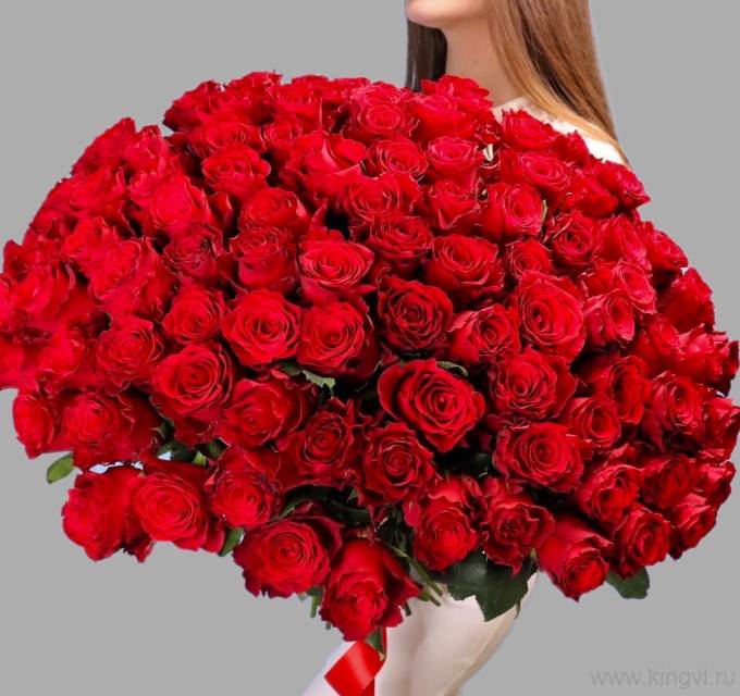 101 красная  роза