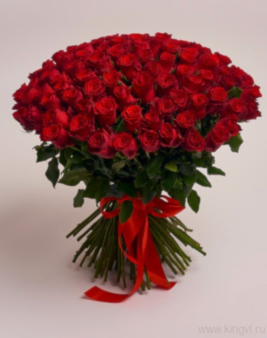 101 красная  роза — Цветочный король