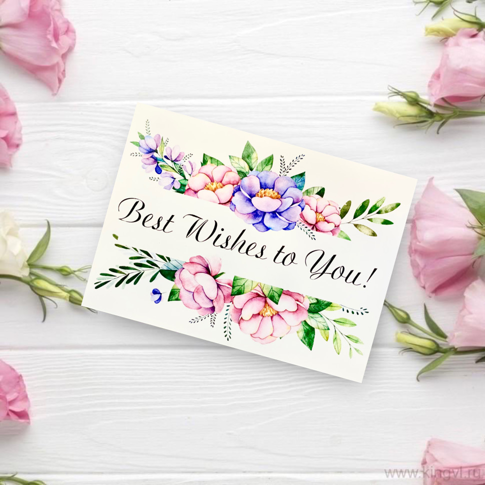 Открытка " Best wishes to you!". Цветы Владивосток фото 1 — Цветочный король