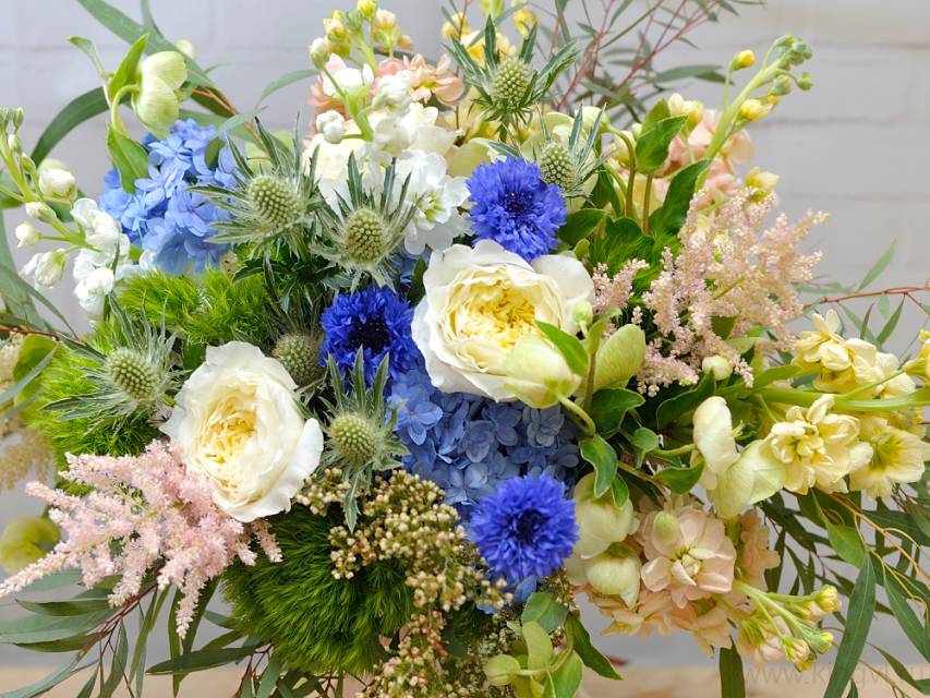 Очарование зелени