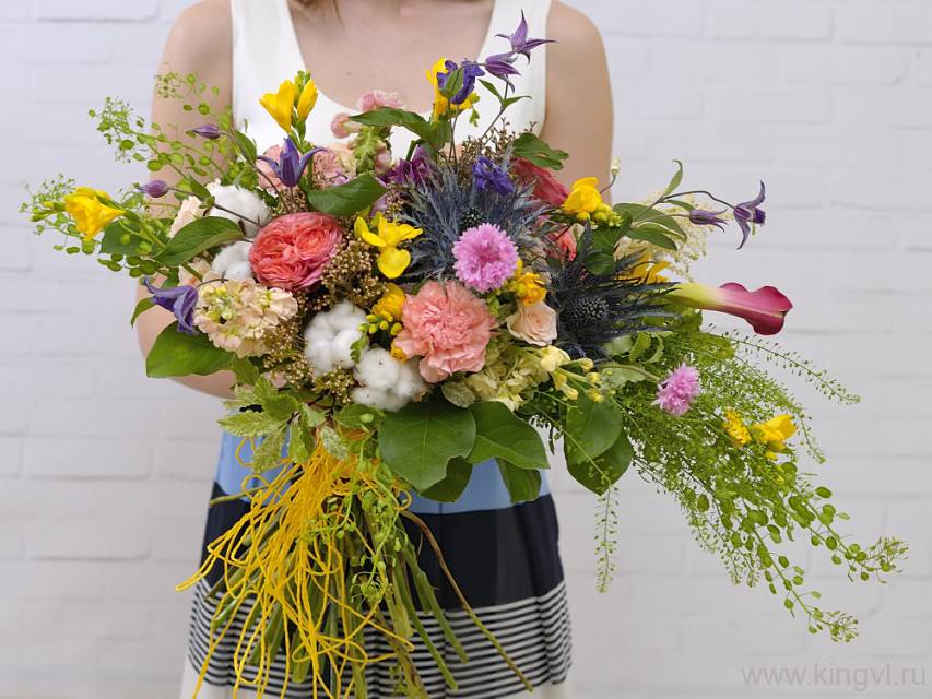 Разноцветная жизнь