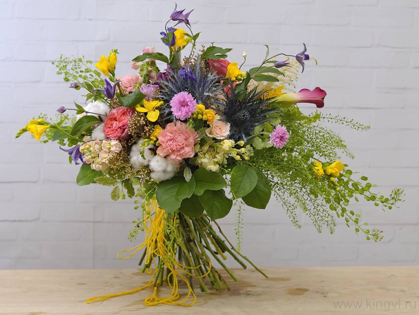 Разноцветная жизнь