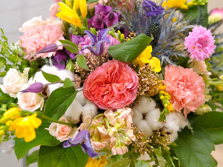 Разноцветная жизнь