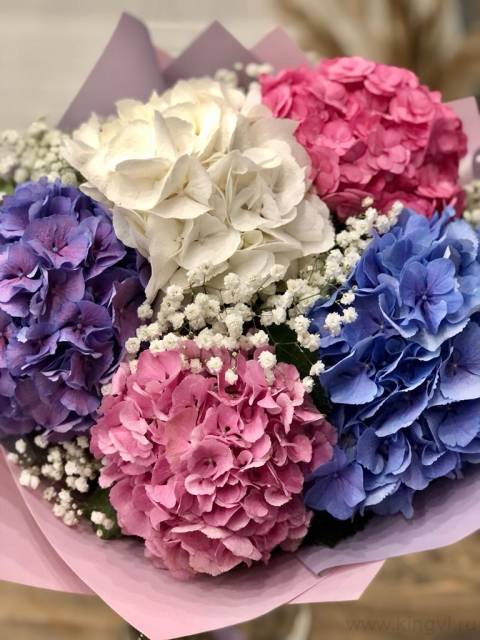 Букет из 5 гортензии и гипсофилы