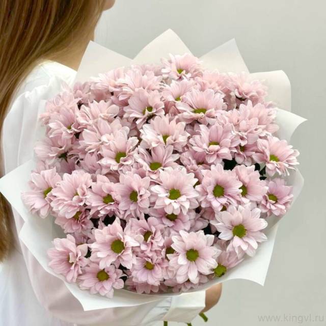 Букет розовых хризантем "Babe"