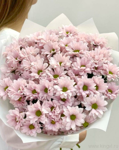 Букет розовых хризантем &quot;Babe&quot; — Цветочный король