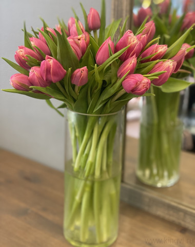 Тюльпаны- любое количество  (Голландия) — Цветочный король