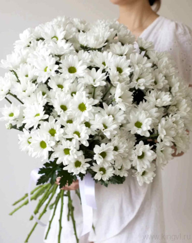 Букет из 15 ромашковых хризантем    &mdash; Цветочный король