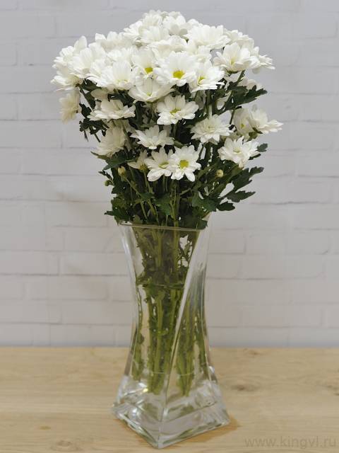 Хризантема - любое количество