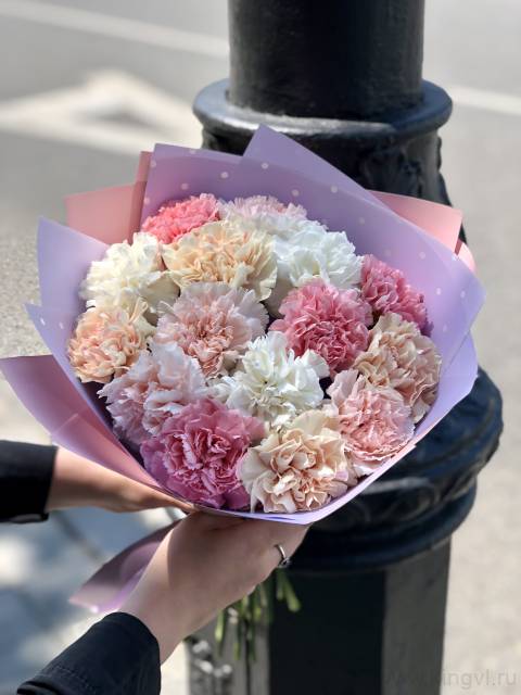 Букет из 15 диантусов ( гвоздик)