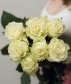 Розы белые - любое количество. Цветы Владивосток фото 1 — Цветочный король
