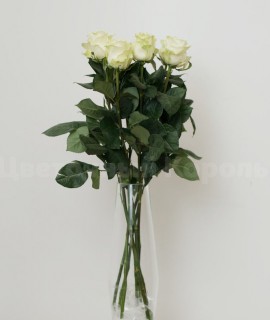 Розы белые - любое количество. Цветы Владивосток