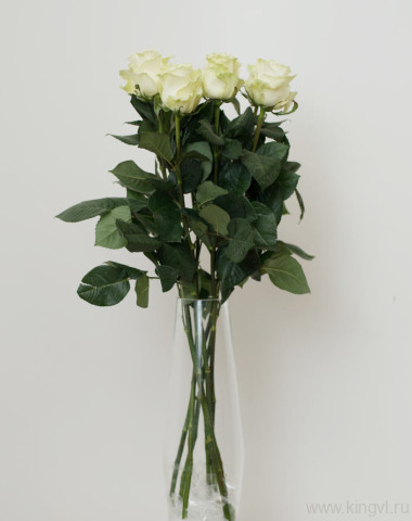 Розы белые - любое количество — Цветочный король