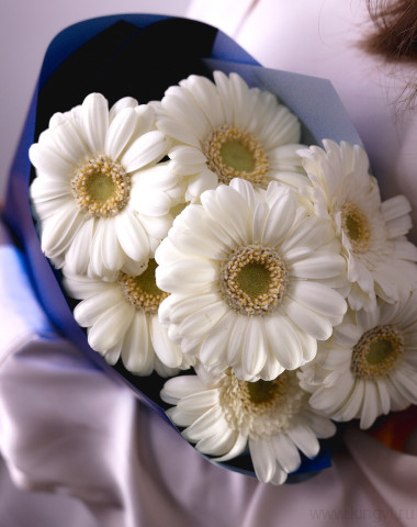 Букет белоснежных гермини &mdash; Цветочный король