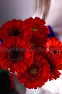 Букет гермини "Love". Цветы Владивосток