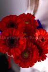 Букет гермини "Love". Цветы Владивосток фото 3 — Цветочный король