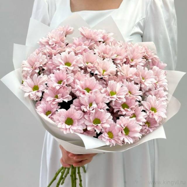 Букет розовых хризантем "Babe" 