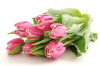 Тюльпаны- любое количество . Цветы Владивосток фото 3 — Цветочный король