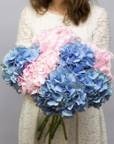 Воздушные гортензии — Цветочный король