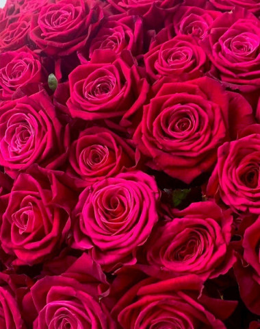 Букет из 35 малиновых роз  — Цветочный король