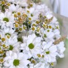 Букет "Летняя поляна". Цветы Владивосток фото 5 — Цветочный король