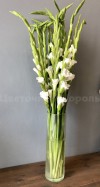 Белый гладиолус - любое количество. Цветы Владивосток фото 2 — Цветочный король