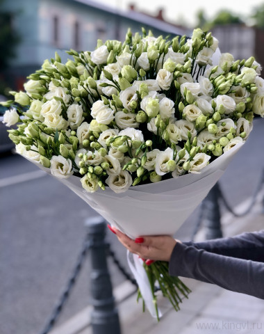 Букет из 31 эустомы — Цветочный король