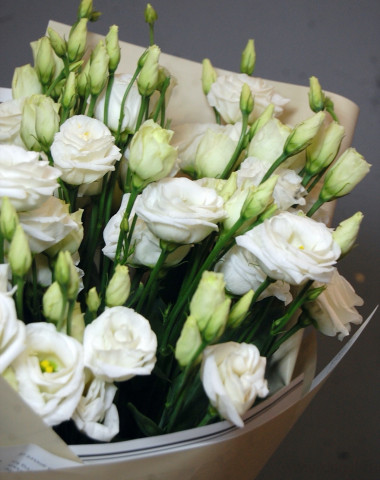 Букет из 7 эустом — Цветочный король