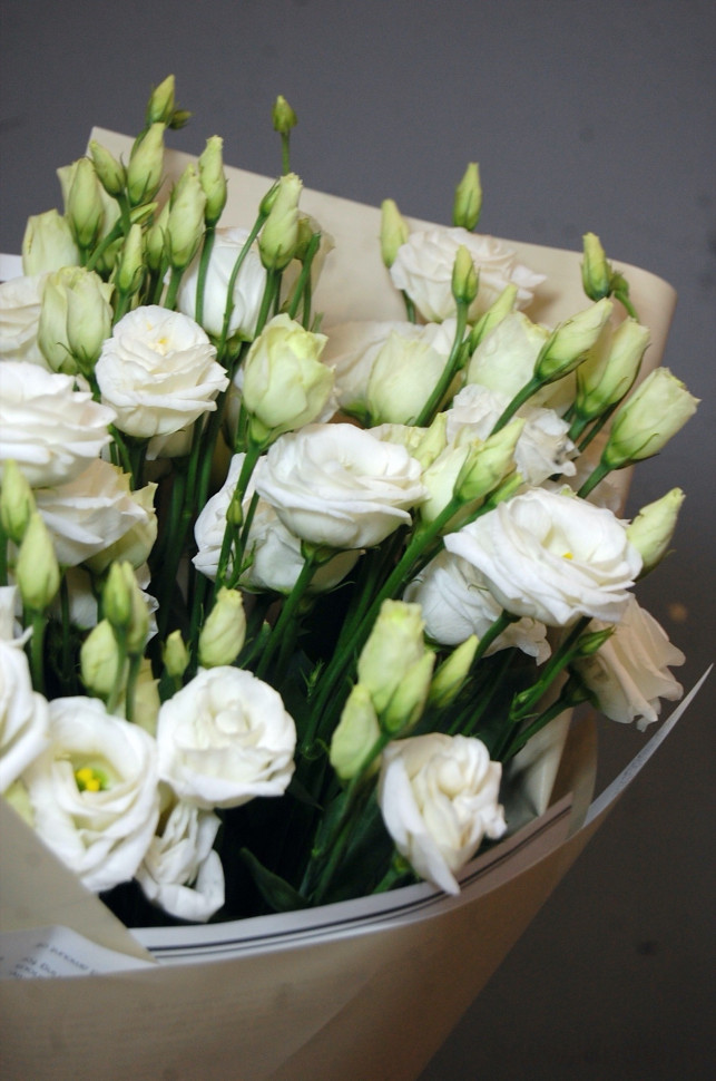 Букет из 7 эустом. Цветы Владивосток