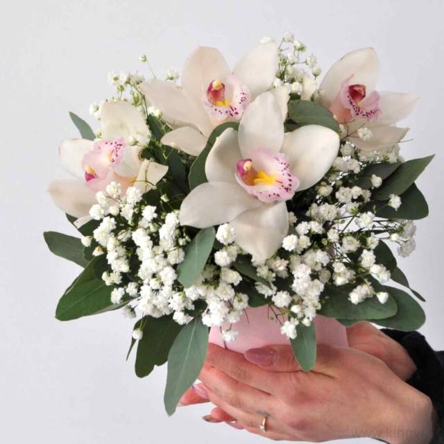 Композиция с орхидеями и гипсофилой