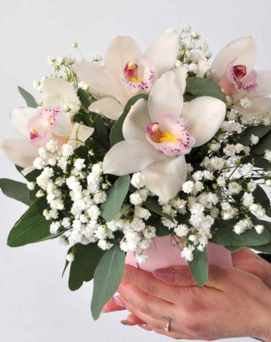 Композиция с орхидеями и гипсофилой — Цветочный король