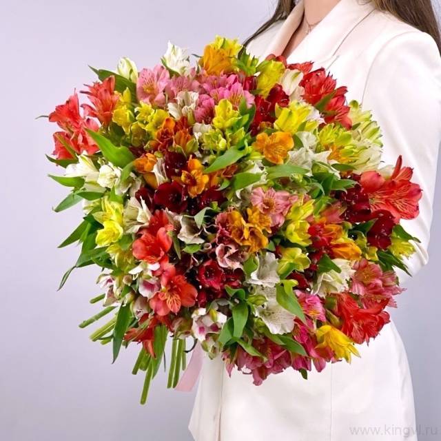 Большой букет из альстромерии 