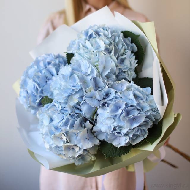 Букет из гортензии "Небесный шик"