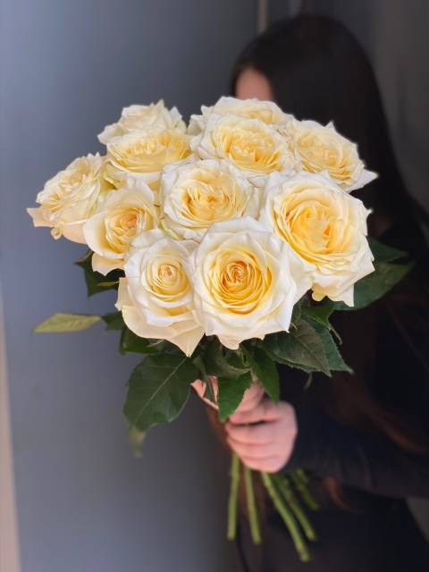 Роза  "Кэндллайт"