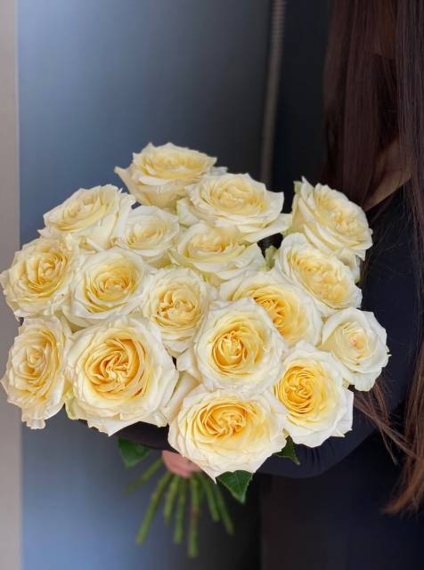 Роза  "Кэндллайт"