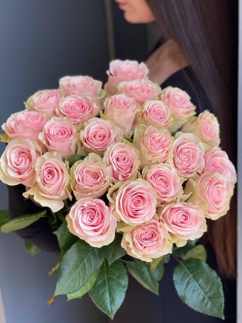 Роза «Фрутетта»