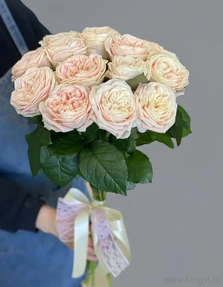 Букет из 13 садовых роз Присцилла. Цветы Владивосток фото 1 — Цветочный король