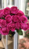 Роза Pink Floyd (Пинк Флойд) - любое количество. Цветы Владивосток фото 2 — Цветочный король