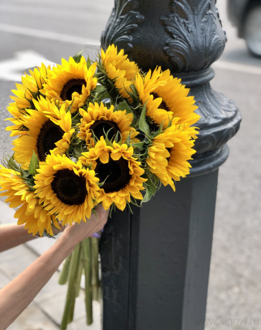 Подсолнух-любое количество — Цветочный король