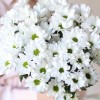 Букет-комплимент из 5 хризантем. Цветы Владивосток фото 2 — Цветочный король