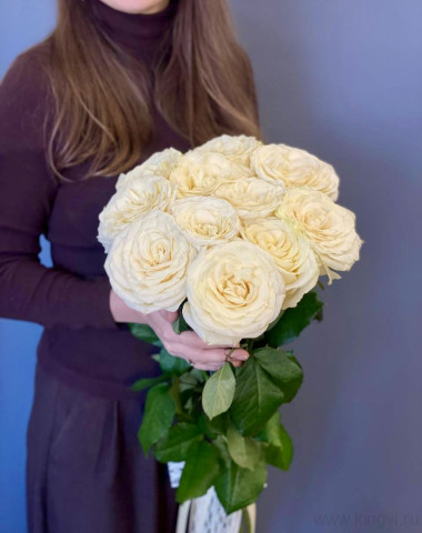 11 роз Кендал Лайт — Цветочный король