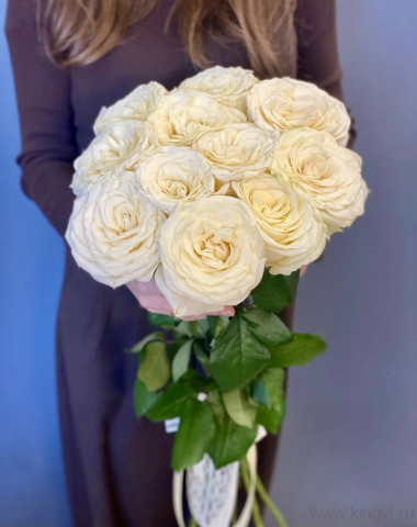 11 роз Кендал Лайт — Цветочный король